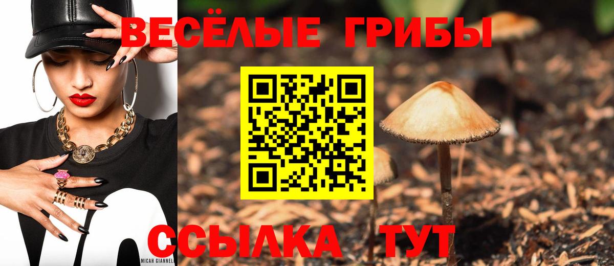 купить наркотик  Вход с VPN  Алатырь  Псилоцибиновые грибы мухоморы 